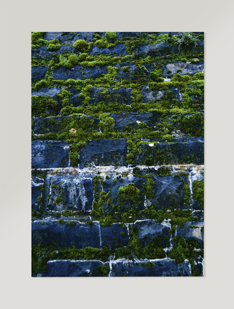 Fotografía colección textura et natura