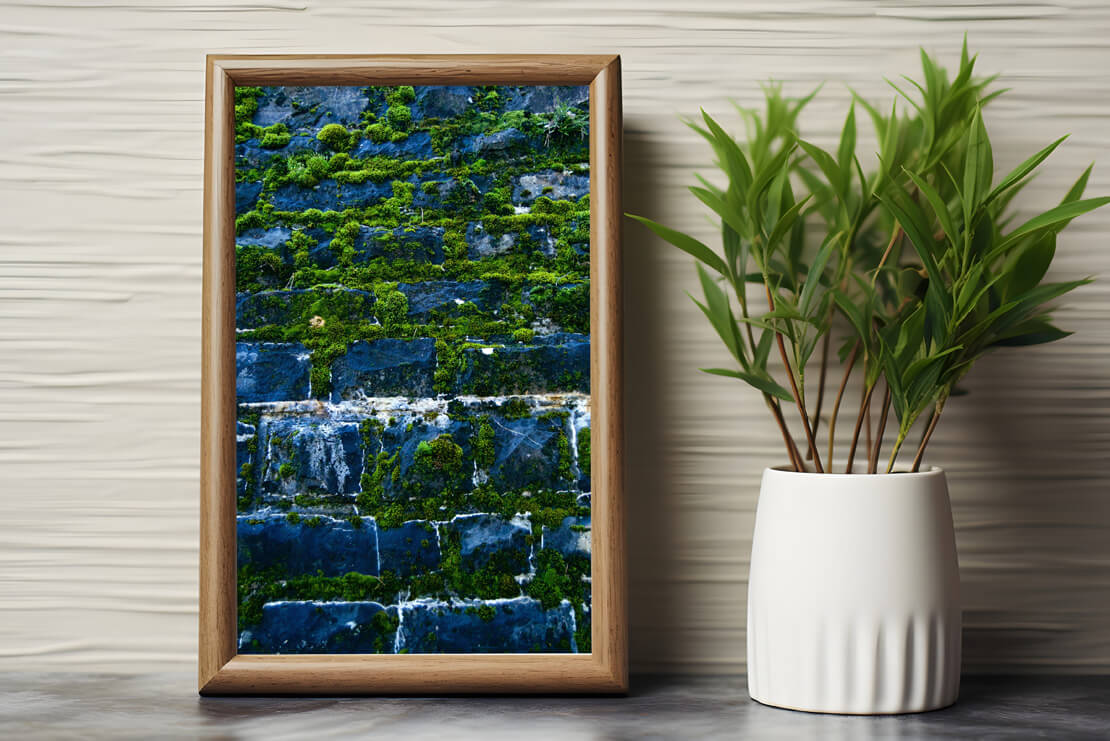 Fotografía colección textura et natura