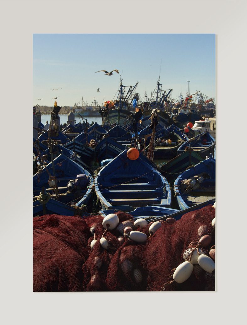 Fotografía colección color