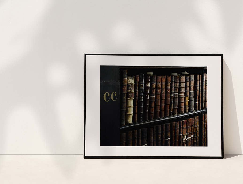 Fotografía colección color