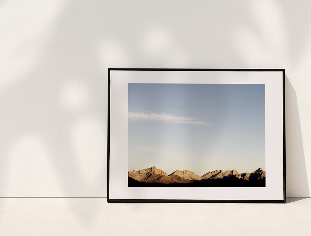 Fotografía colección textura et natura