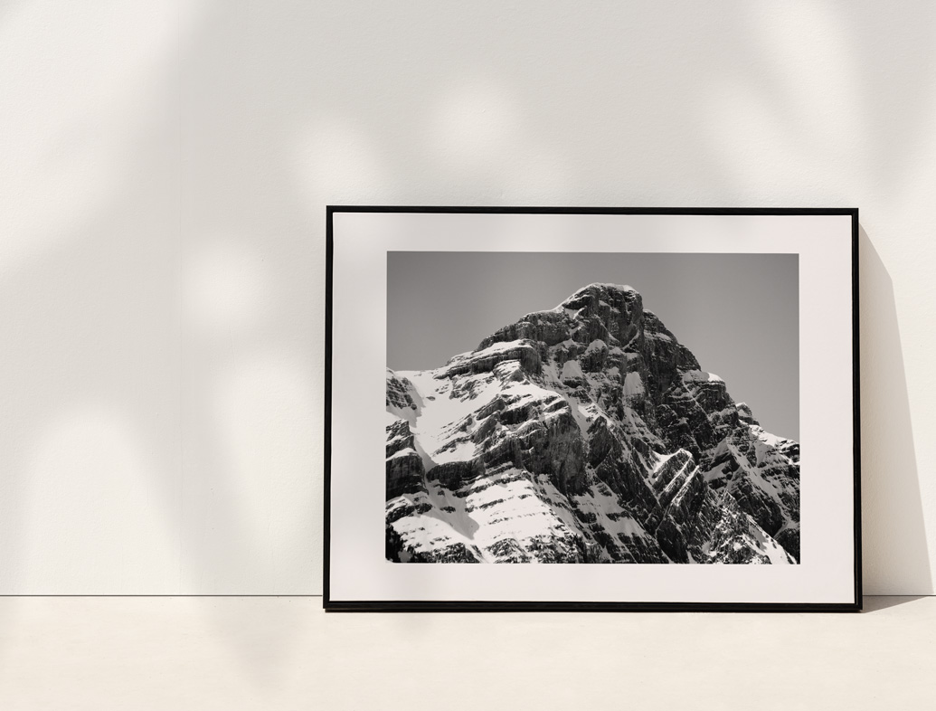 Fotografía colección textura et natura