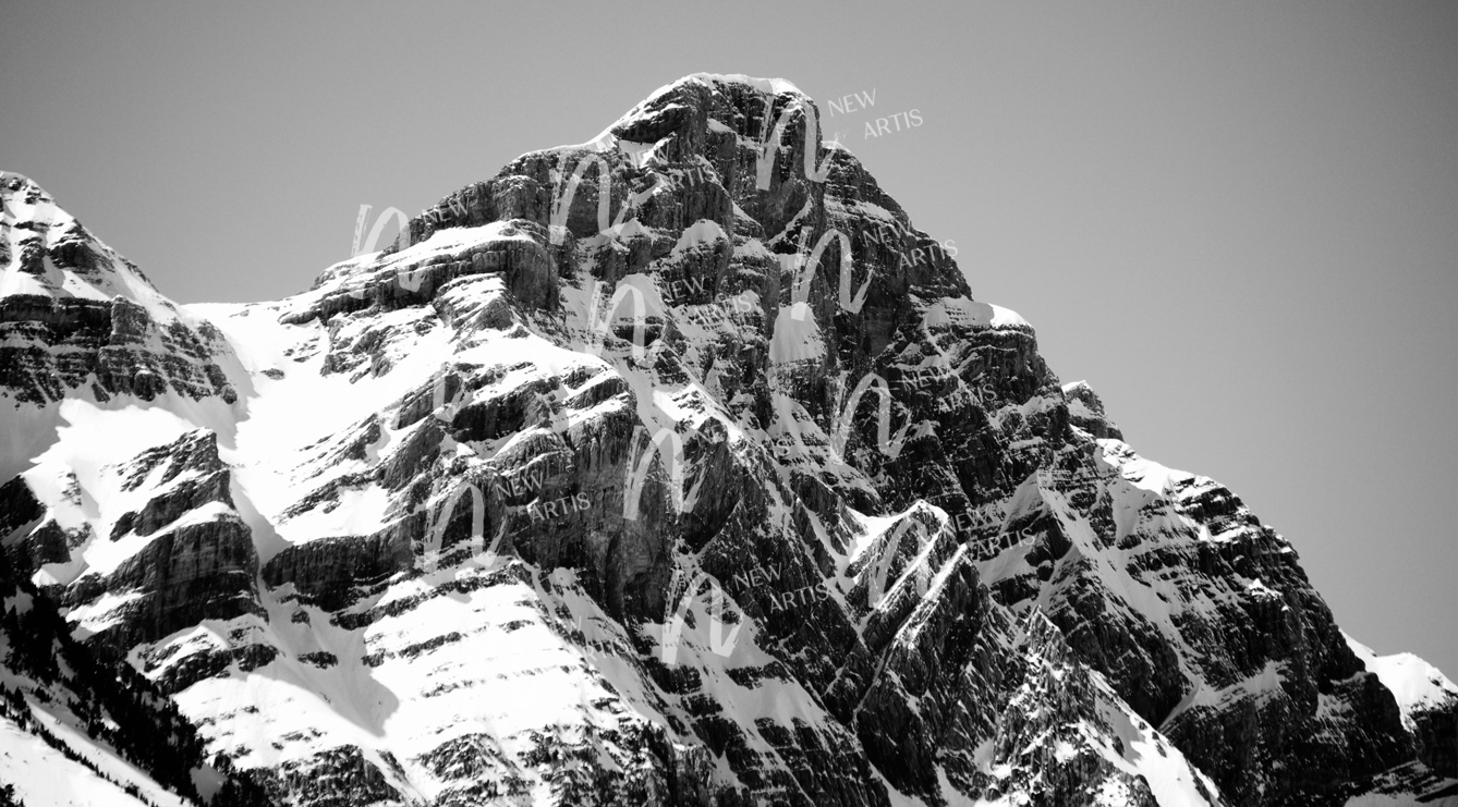 Fotografía colección textura et natura